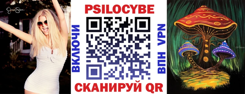купить закладку  Западная Двина  Псилоцибиновые грибы Magic Shrooms 
